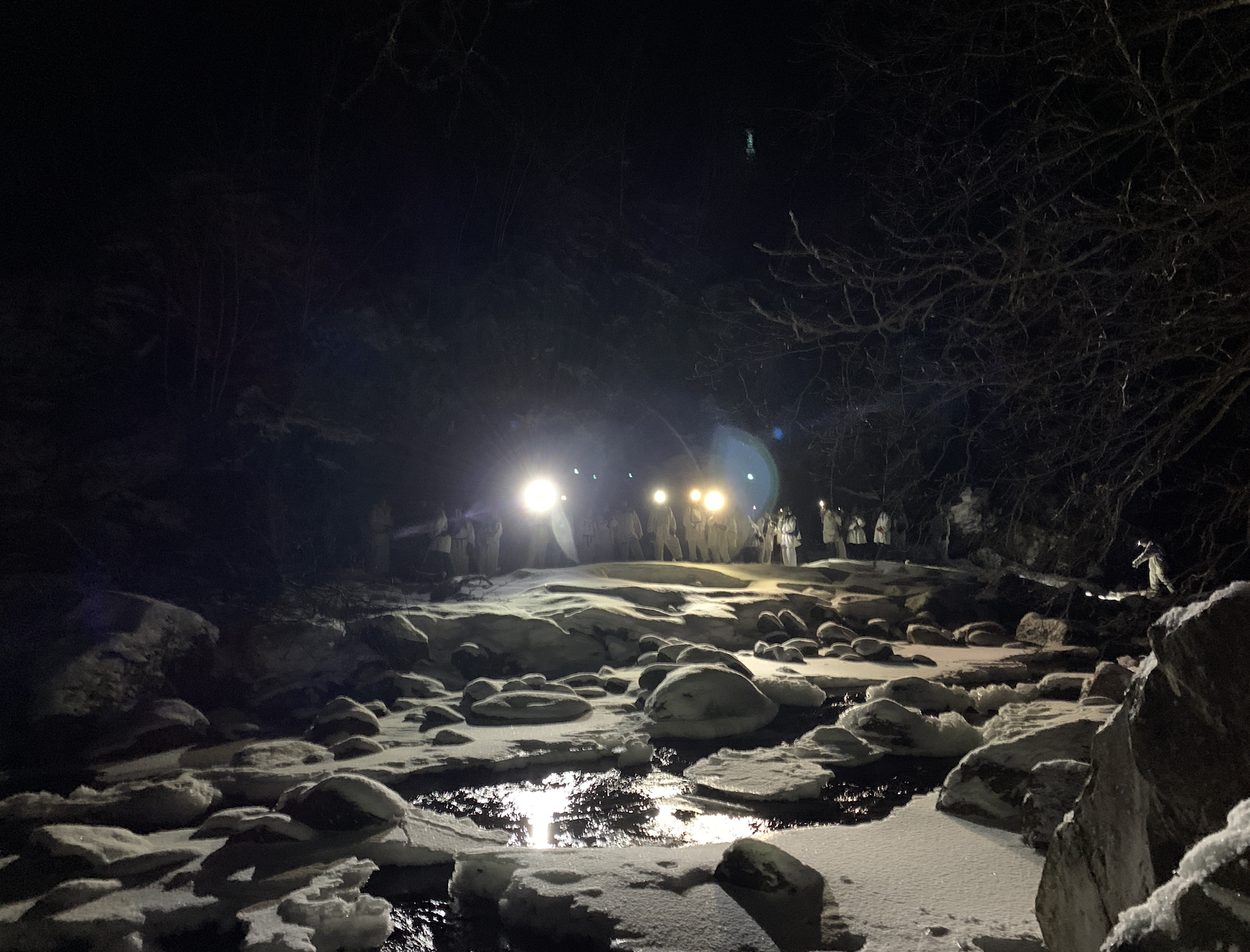 I sabotørenes fotspor