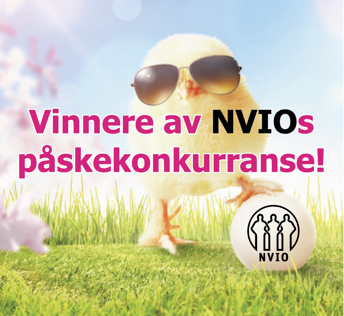 Vinnere av NVIOs påskekonkurranse er trukket