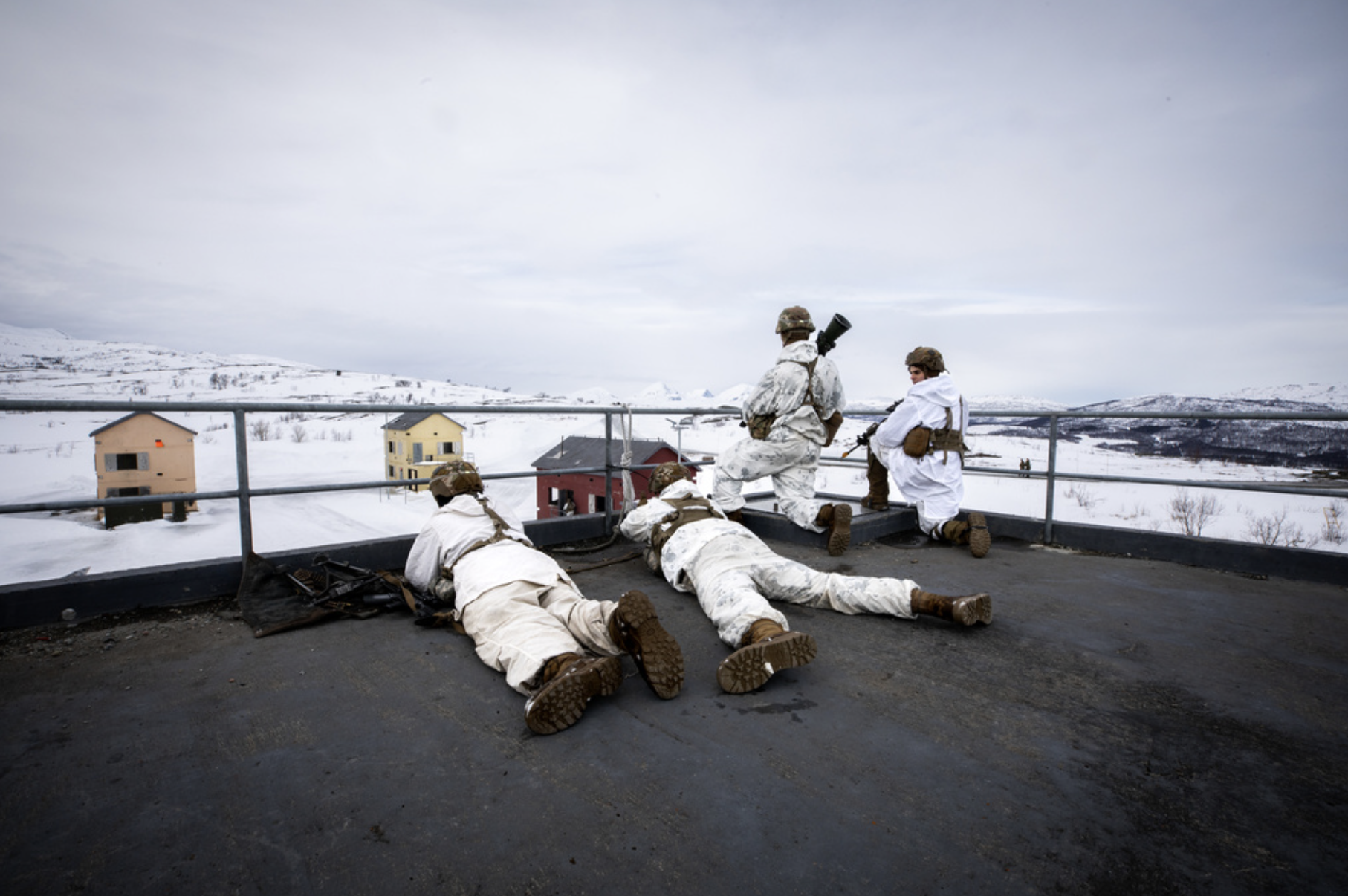 Hva betyr langtidsplanen for veteraner?