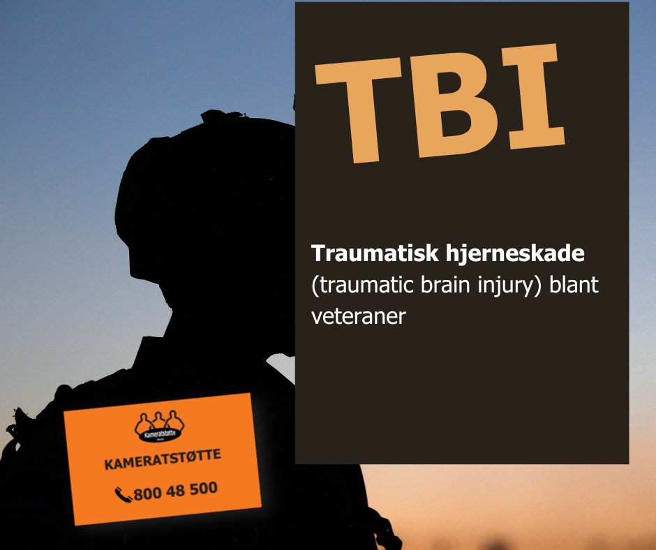 Traumatisk hjerneskade (TBI)