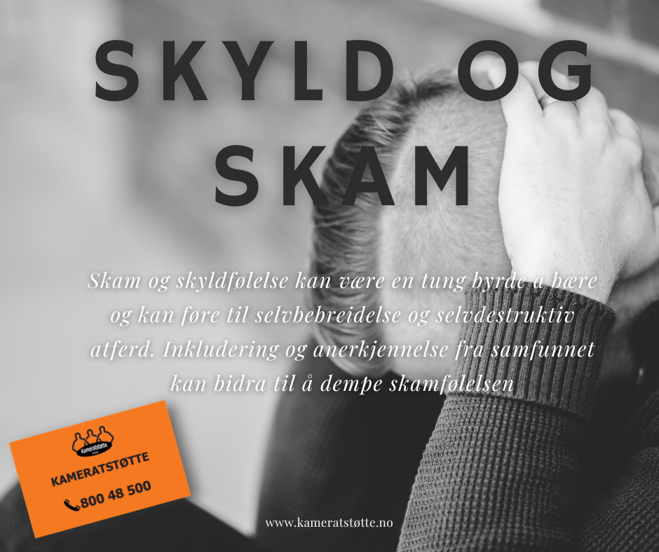 Skyld og skam blant veteraner